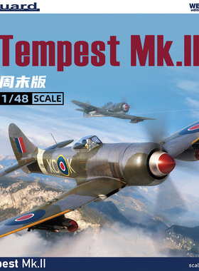 天易模型 牛魔王拼装飞机 84190 暴风 Tempest Mk.II 周末版 1/48