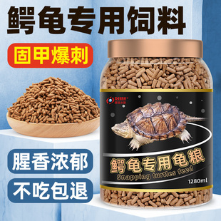 速发鳄佛饲龟龟龟粮爆刺佛鳄龟杂龟鳄料龟食纯佛小大鳄龟食物