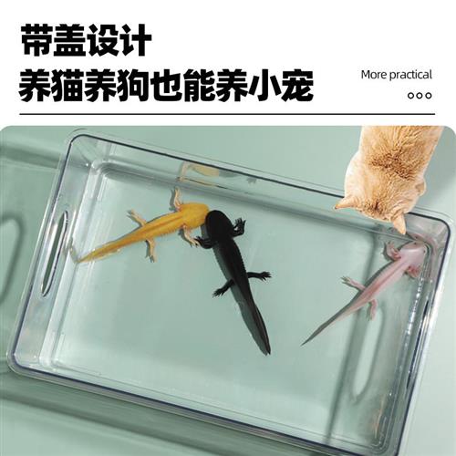 速发养六角专龙鱼缸恐用缸桌小小型鱼缸塑料透明办公室面乌龟缸养