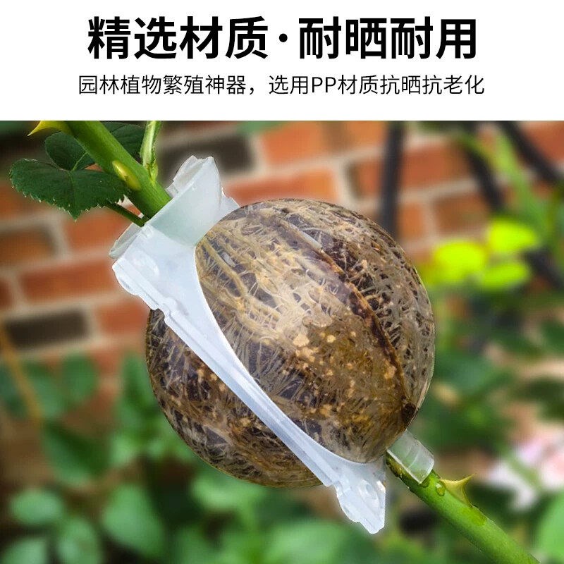 速发植物高压繁殖盒扦插嫁接高压包生根盒控根器枝繁殖球生根繁殖