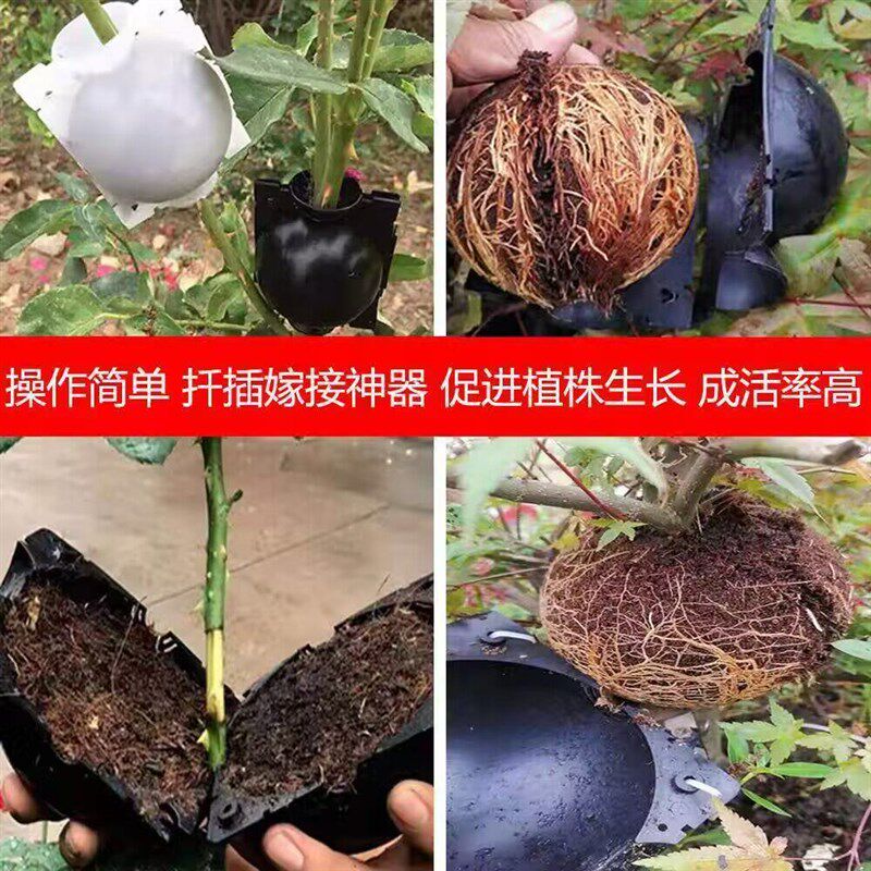 速发嫁接高压包带土高空繁殖器植物生根器台育苗枝条盒子树木生控