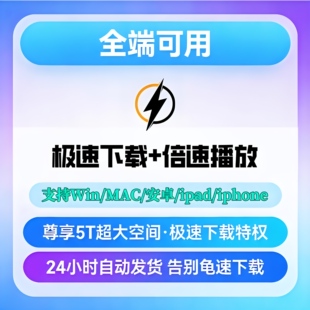 百度网云下载不限速云盘1天极速下载卷24小时发货全端非教程软件