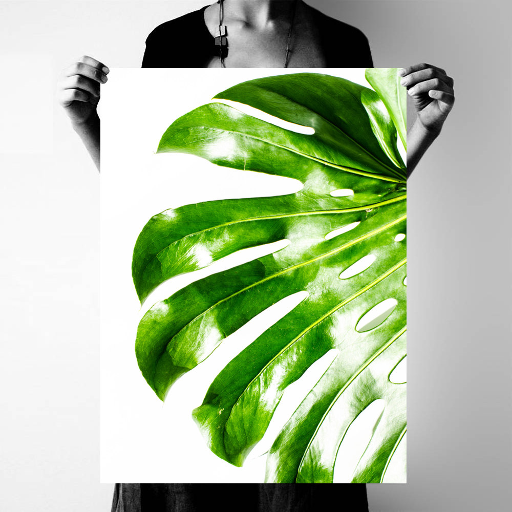 北欧龟背竹装饰画芯打印现代简约摄影植物挂画心喷绘照片画布微喷