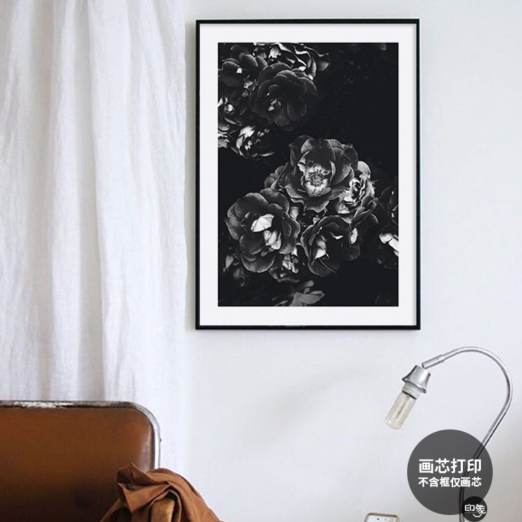 北欧风画芯植物黑白摄影照片海报定制现代简约玄关挂画芯图片打印