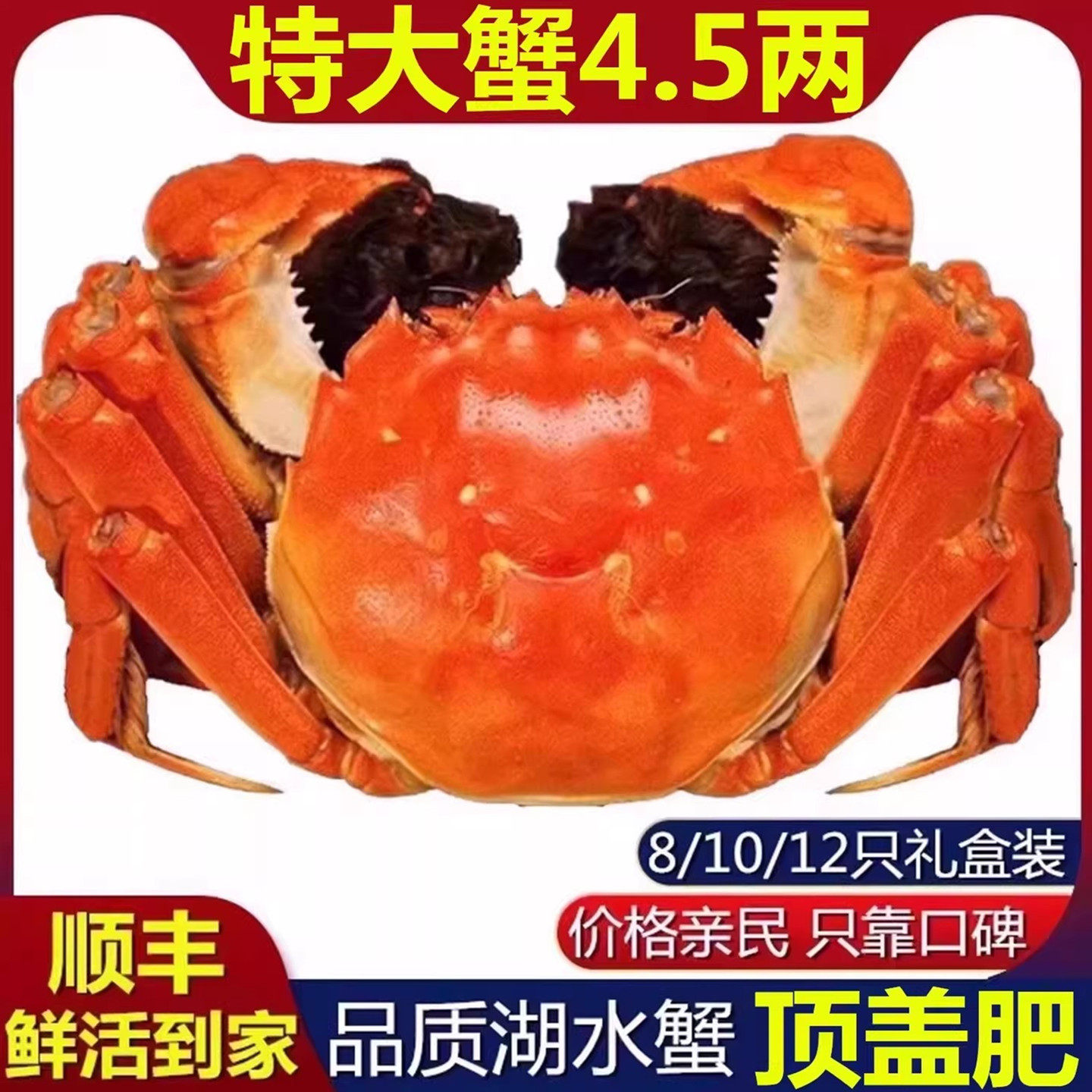 活蟹10只【特大蟹5.0两】大闸蟹鲜活螃蟹官方旗舰礼盒大闸蟹河蟹,水产肉类/新鲜蔬果/熟食,大闸蟹,淘宝优惠券,粉丝福利购,淘宝优惠卷