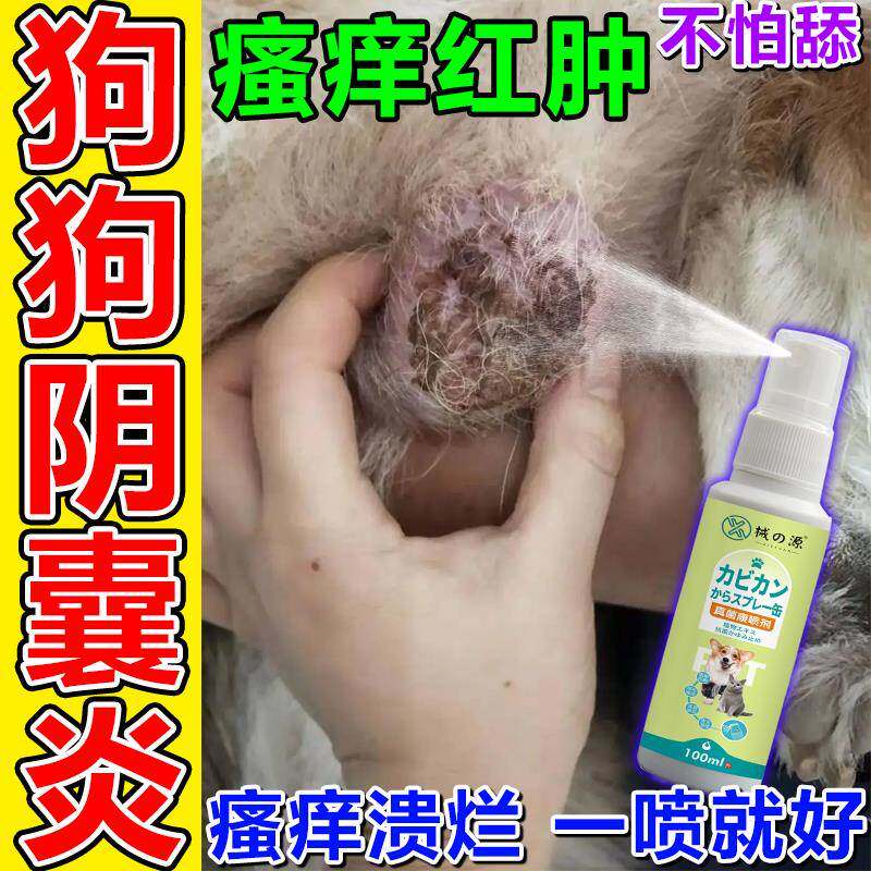狗狗阴囊炎专用药狗蛋蛋红肿发炎流脓溃烂瘙痒消炎杀菌防感染喷剂