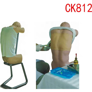 CK812胸腔穿刺模型背部（胸部）穿刺训练模型