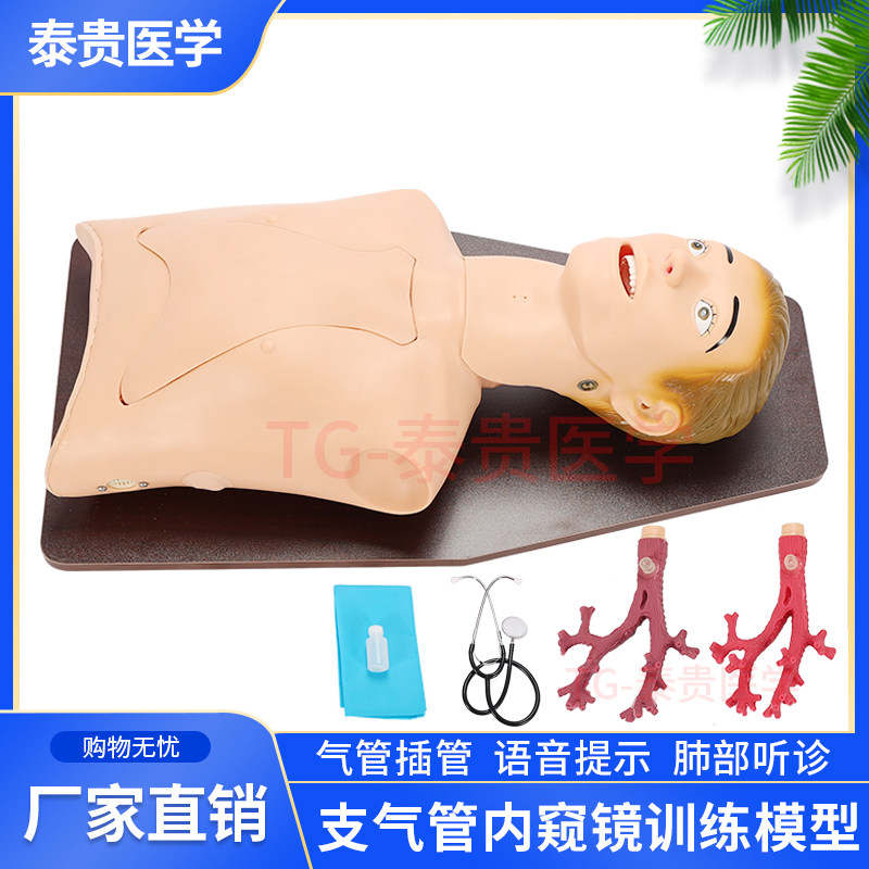 TG/LV48支气管内窥镜训练模型经口鼻光学纤维插管检查肺部听诊假人