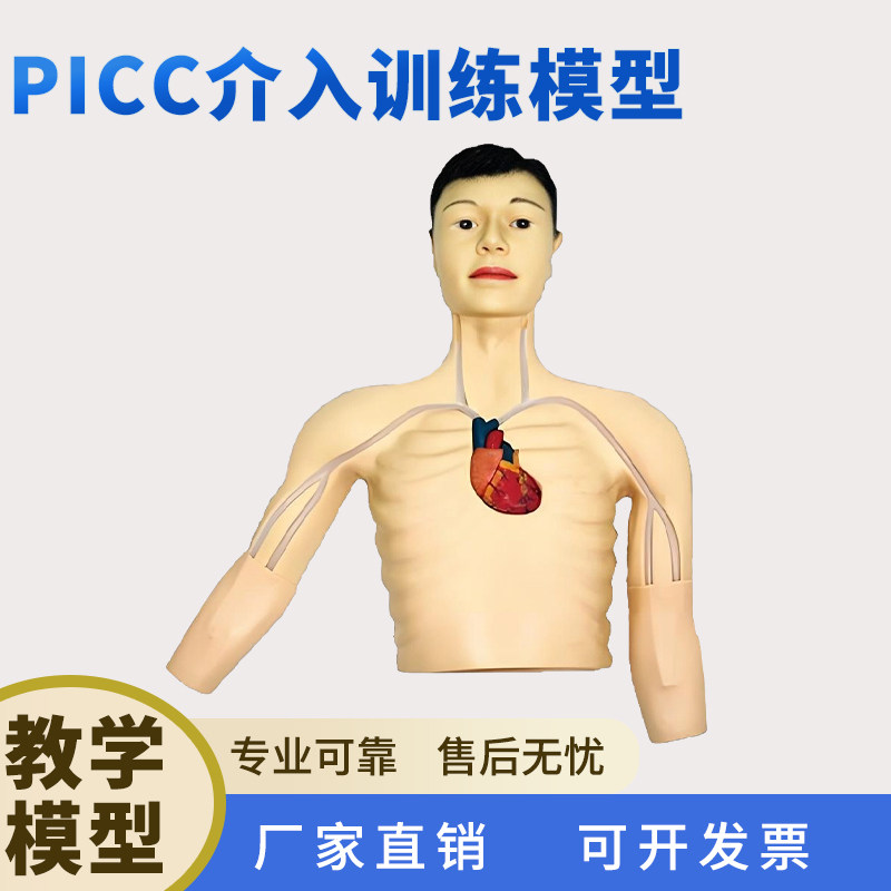 PICC介入训练人体模型厂家