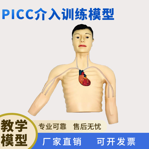 PICC介入训练人体模型厂家