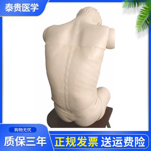 高级综合穿刺术技能训练模拟人