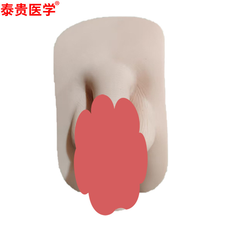泰贵医学 护理人男生殖器模型