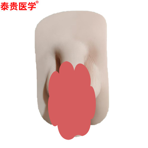 泰贵医学 护理人男生殖器模型