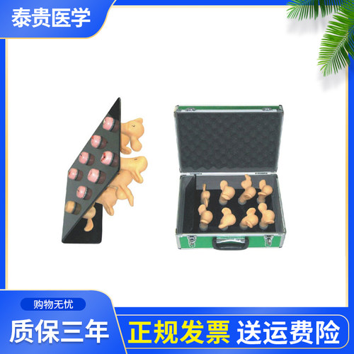高级子宫宫颈病变模型泰贵医学