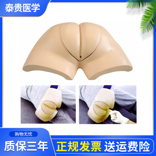 泰贵医学TG/H37着装式人工取便操作训练模型家政培训学生实习护理培训假人体臀部模具