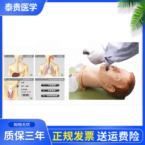 J55全功能气道管理护理模型
