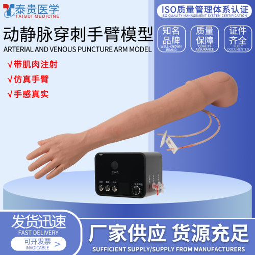 动静脉穿刺及肌肉注射手臂模型
