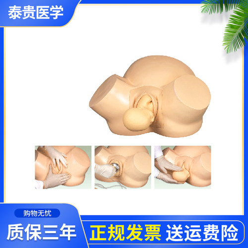 泰贵医学妇产科高级训练模型