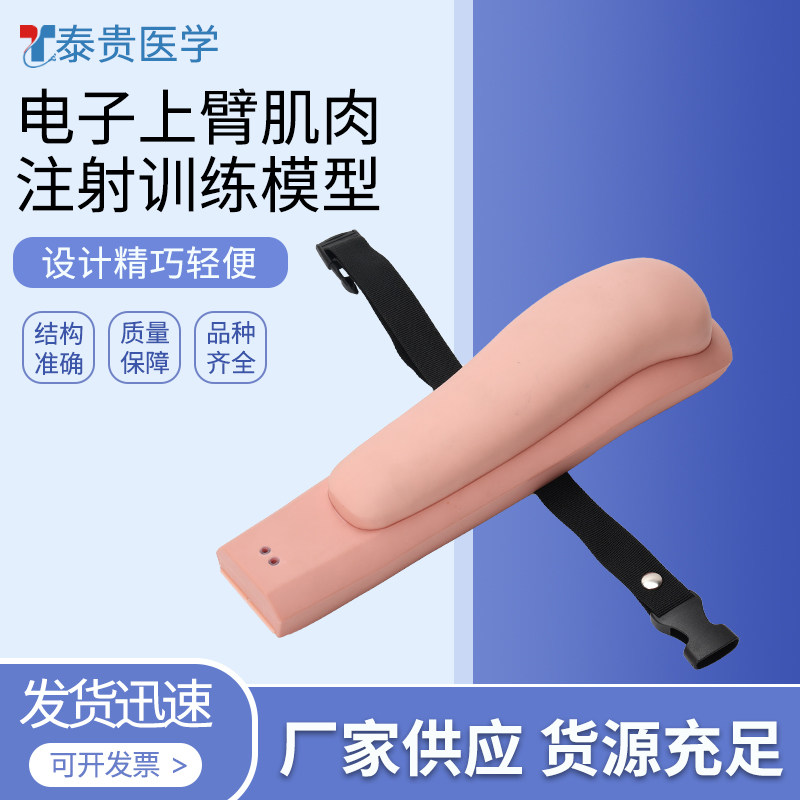高级电子上臂肌肉注射训练模型