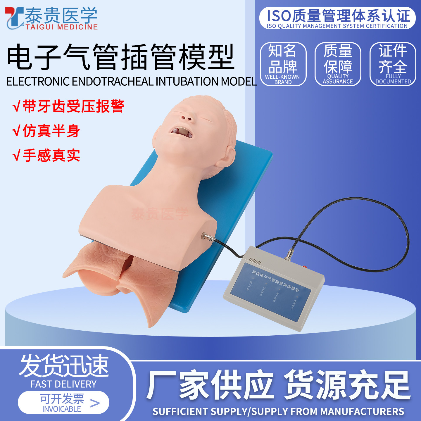 泰贵医学电子人体气管插管模型