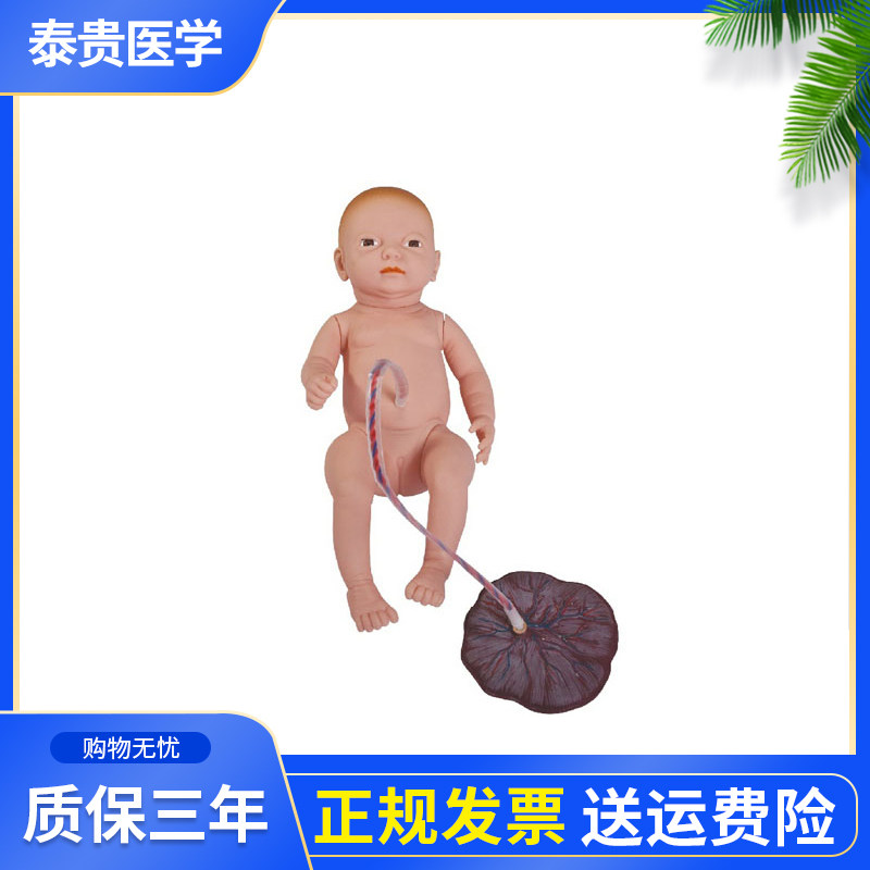 泰贵医学tg/h132高级新生儿脐带胎盘护理模型 婴儿脐带结扎及护理操作