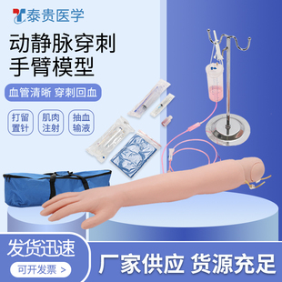 动静脉穿刺手臂模型留置针护士练习抽血输液三角肌注射仿真上肢