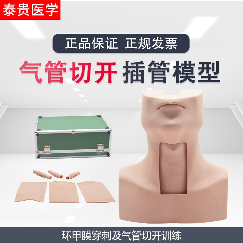 经皮气管环甲膜软骨韧带解剖穿刺高级气管切开插管训练模型模拟人