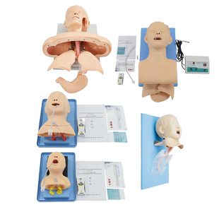 高级人体气管插管训练模型成人新生婴儿童口鼻腔气道急救操作教学演示模拟人训练模具J1516J5SJ10J50气道梗塞