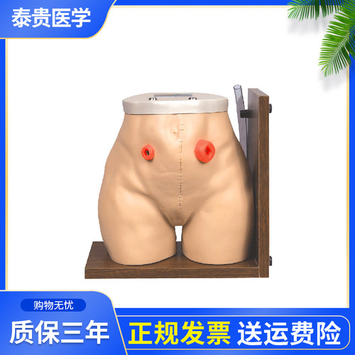 泰贵人体模型训练假人体模型