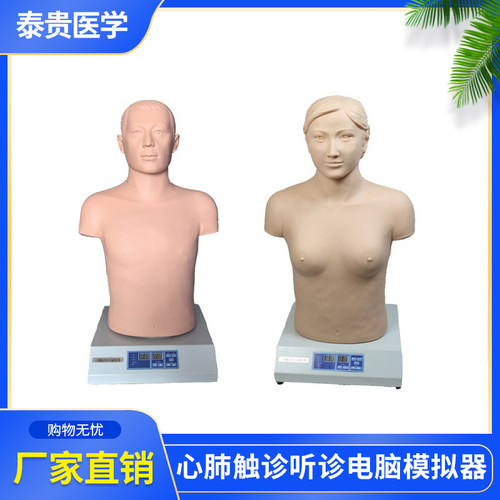 心肺触诊听诊电脑模拟器体格检查