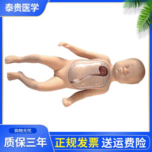 泰贵医学TG/L69D新生儿外周中心静脉插管模型