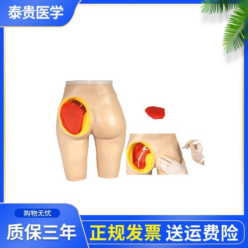 高级臀部肌肉注射与解剖结构模型