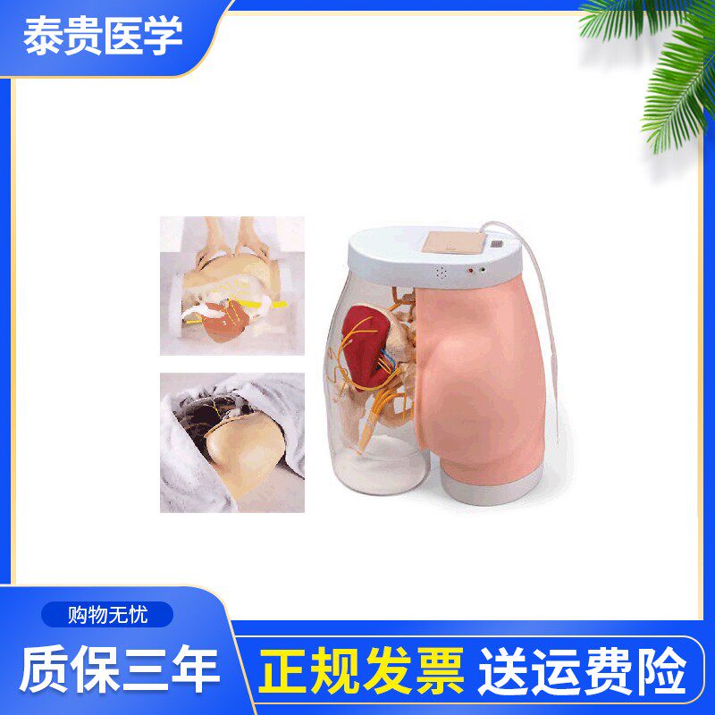 泰贵医学TG/HS10B高级臀部肌肉注射训练及对比模型