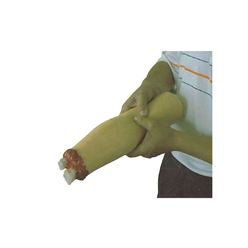 下肢外伤断肢止血模型