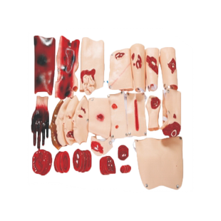 泰贵医学G110-43部件创伤评估模块伤情化妆套装战救伤口识别练习