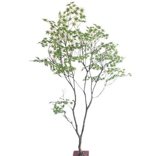 仿真青枫树绿枫树大型室内装饰假树客厅落地造景北欧ins绿植红枫