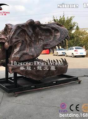 霸王龙头骨化石模型玻璃钢材质地质博物馆景区美陈引流研学模型
