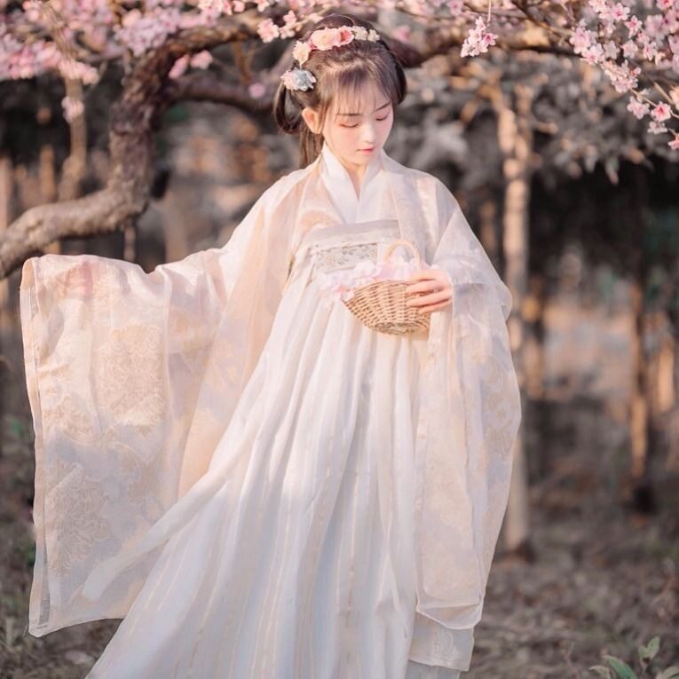 汉服女荣姬改良传统汉服女装刺绣魏晋风齐胸襦裙大袖衫非古装夏季