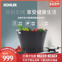 科勒果蔬清洗机洗菜机家用消毒机洗奶瓶自动电解水果蔬解毒净食机