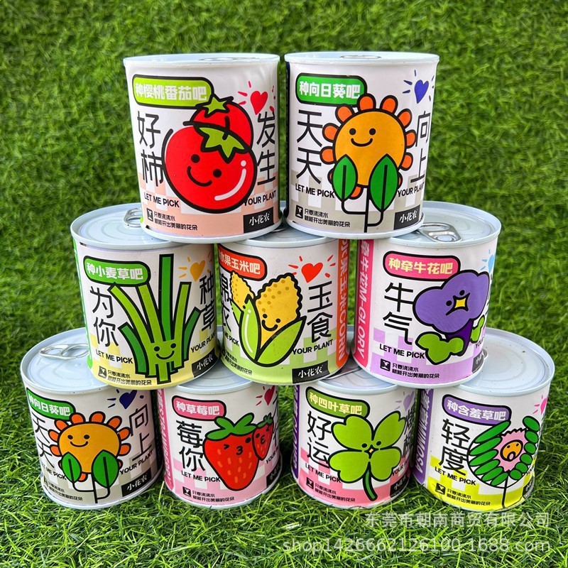 高品质礼物盲盒盆栽幼儿园礼物室内种植花卉种子学生桌面绿植盆栽图片