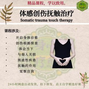 体感创伤抚触治疗自我疗愈原生家庭创伤心理学教学音频课程