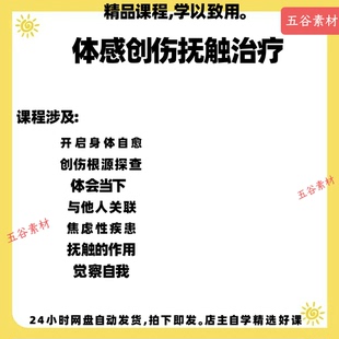 体感创伤抚触治疗自我疗愈原生家庭创伤心理学教学音频课程
