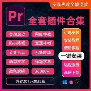 pr插件合集全套2025一键安装包转场字幕调色磨皮美颜降噪特效MAC