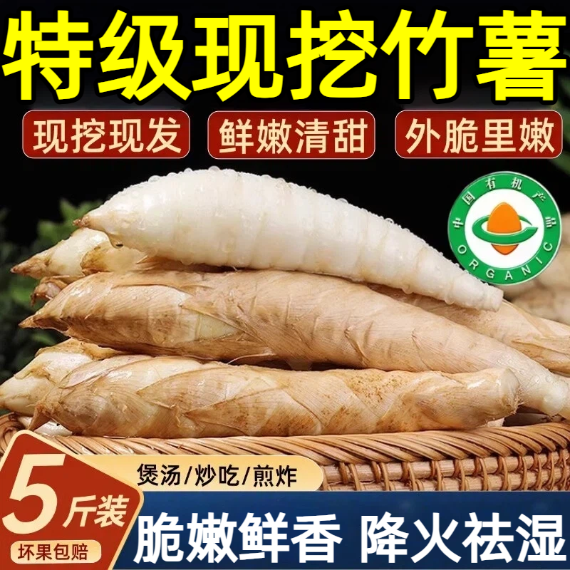 【全网热销100w+】广东竹薯新鲜