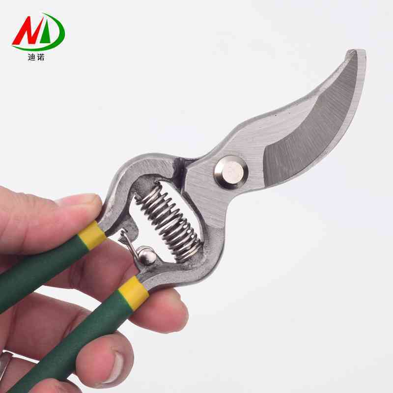 厂价8寸老式果枝剪 一体式修枝剪 花枝园艺剪 园林剪树枝剪刀