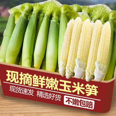 力荐甜玉米笋9斤！嫩嫩的！