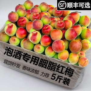 胭脂梅鲜果现摘泡酒专用诏安新鲜青梅特大果5斤高山脆青梅子野生1