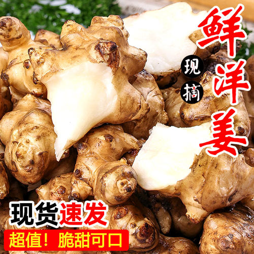 新鲜现挖洋姜，头茬速抢！