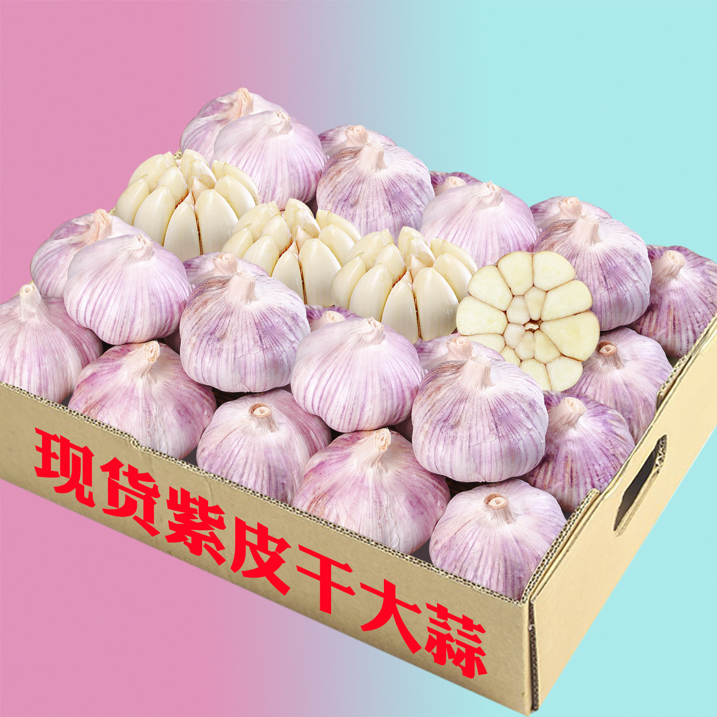 山东大蒜2026紫皮干大蒜紫皮非独头蒜湿大蒜种籽干蒜紫皮现挖