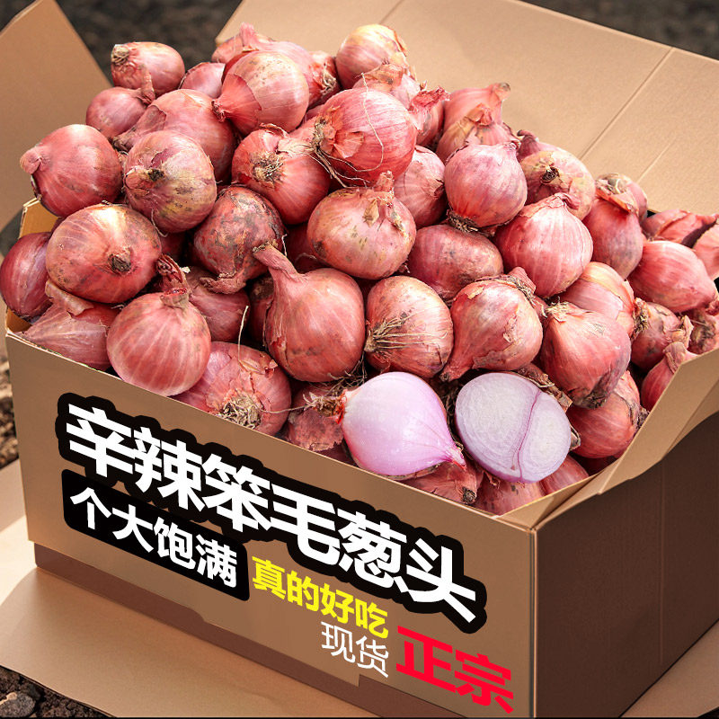 正宗新鲜笨毛葱鬼子葱四六瓣毛葱笨毛葱小毛葱头新鲜火葱头珠葱